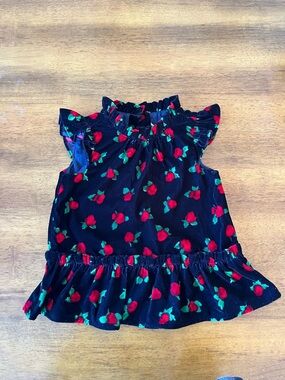 Janie and Jack velvet roses top blouse toddler girls 3T